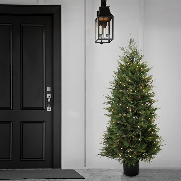 5' Prelit Artificial Cypress Tree Clear Lights - National Tree Company