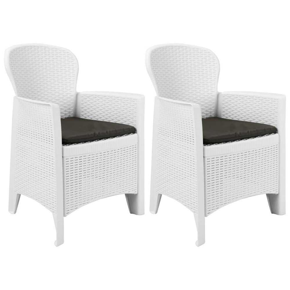 vidaXL Patio Chairs 2 Pcs Dining Single Chair with Cushion Plastic Rattan Look   23.2\