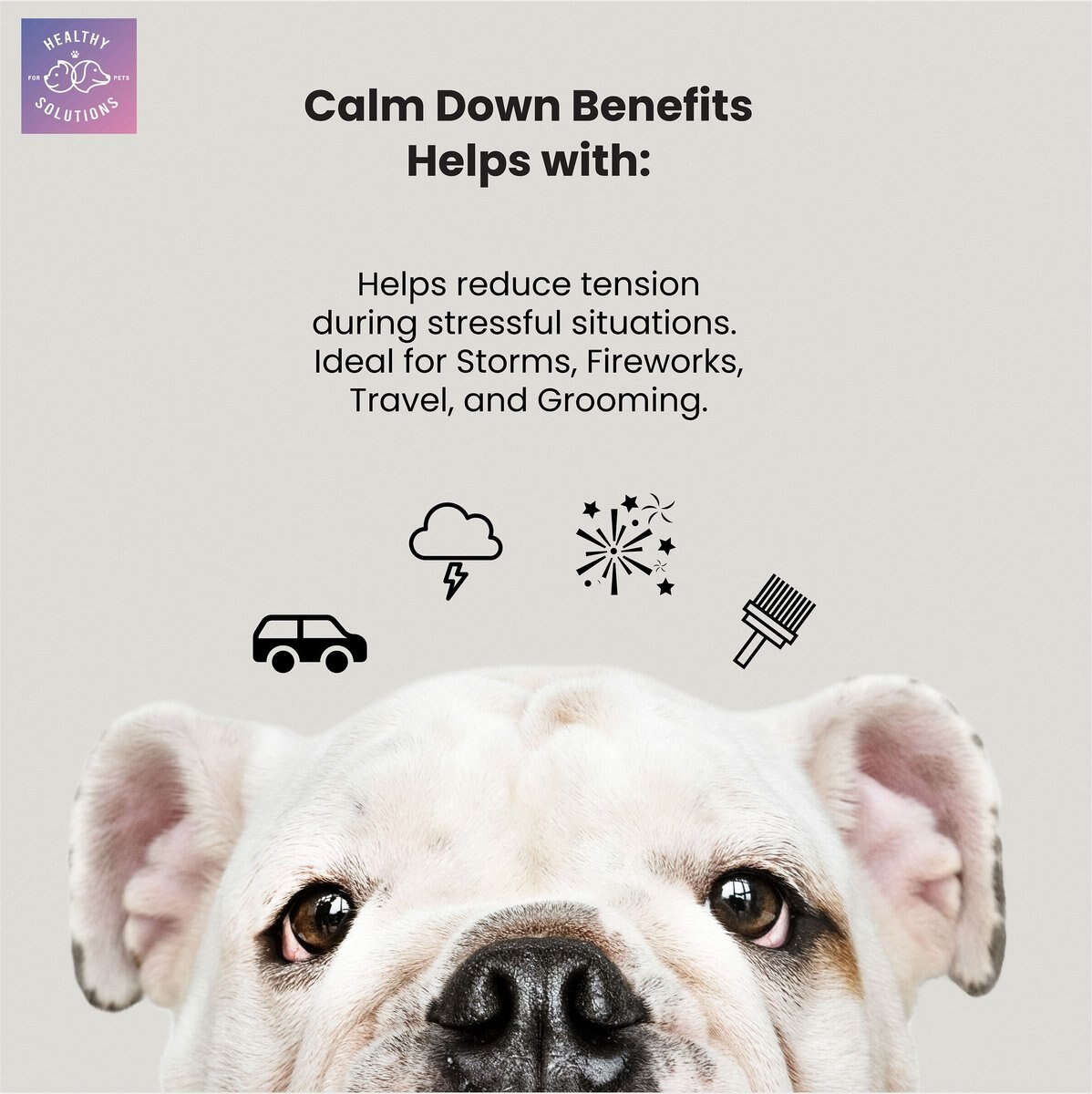 Healthy Solutions for Pets Calming Supplement for Dogs