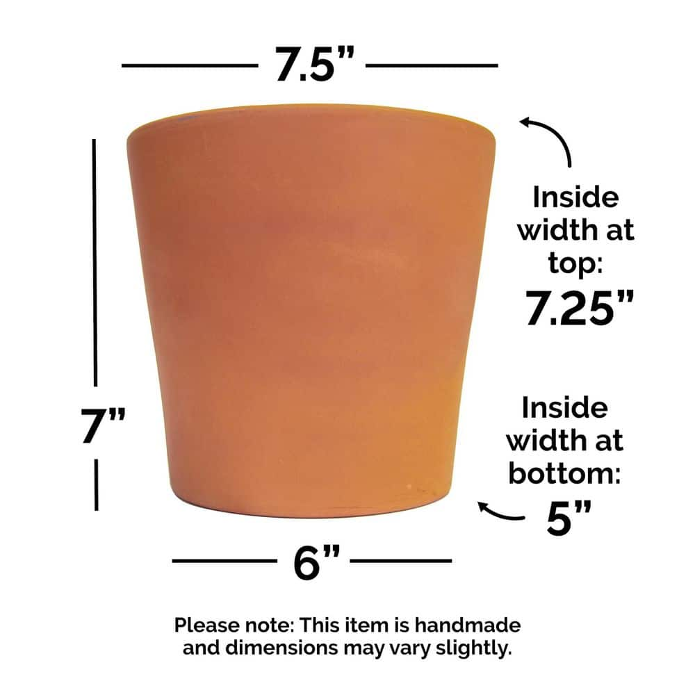 Pennington 7.5 in. Small Cabo Flair Terra Cotta Clay Pot 100523387