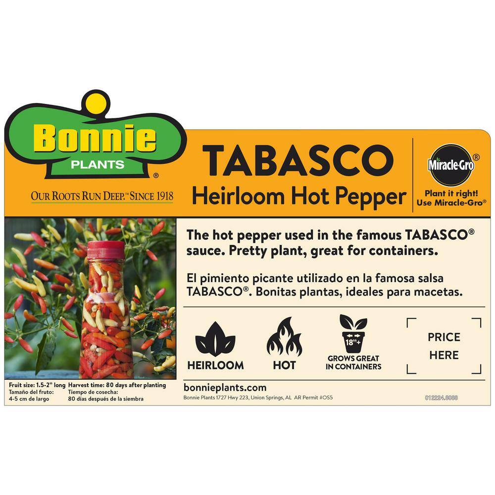 Bonnie Plants 19 oz. Tobasco Hot Pepper Plant 1003800769