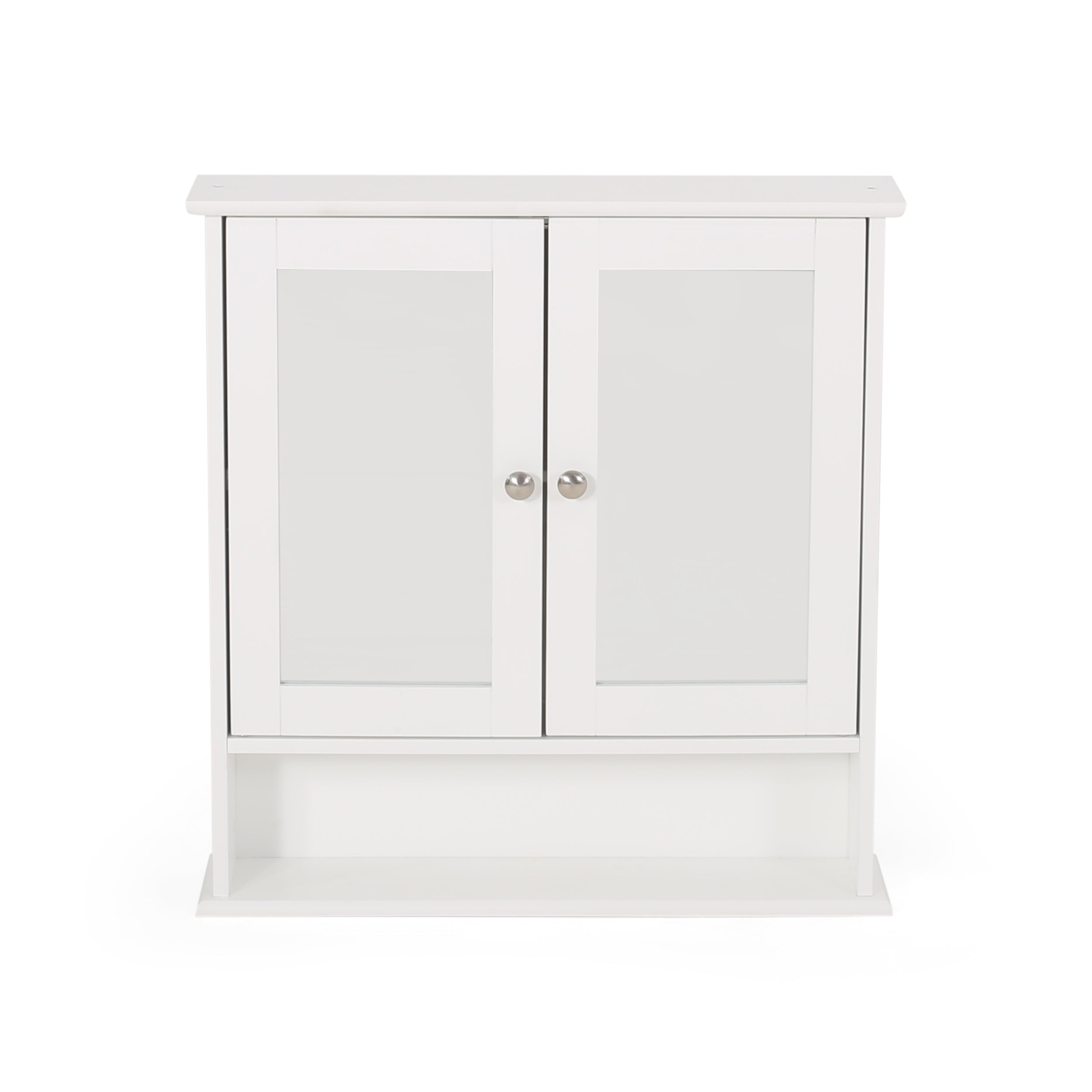 Dillyn Contemporary 2 Door Mirror Medicine Cabinet