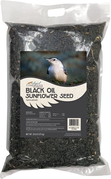 Colorful Companions Black Oil Sunflower Premium Wild Bird Food， 20-lb bag