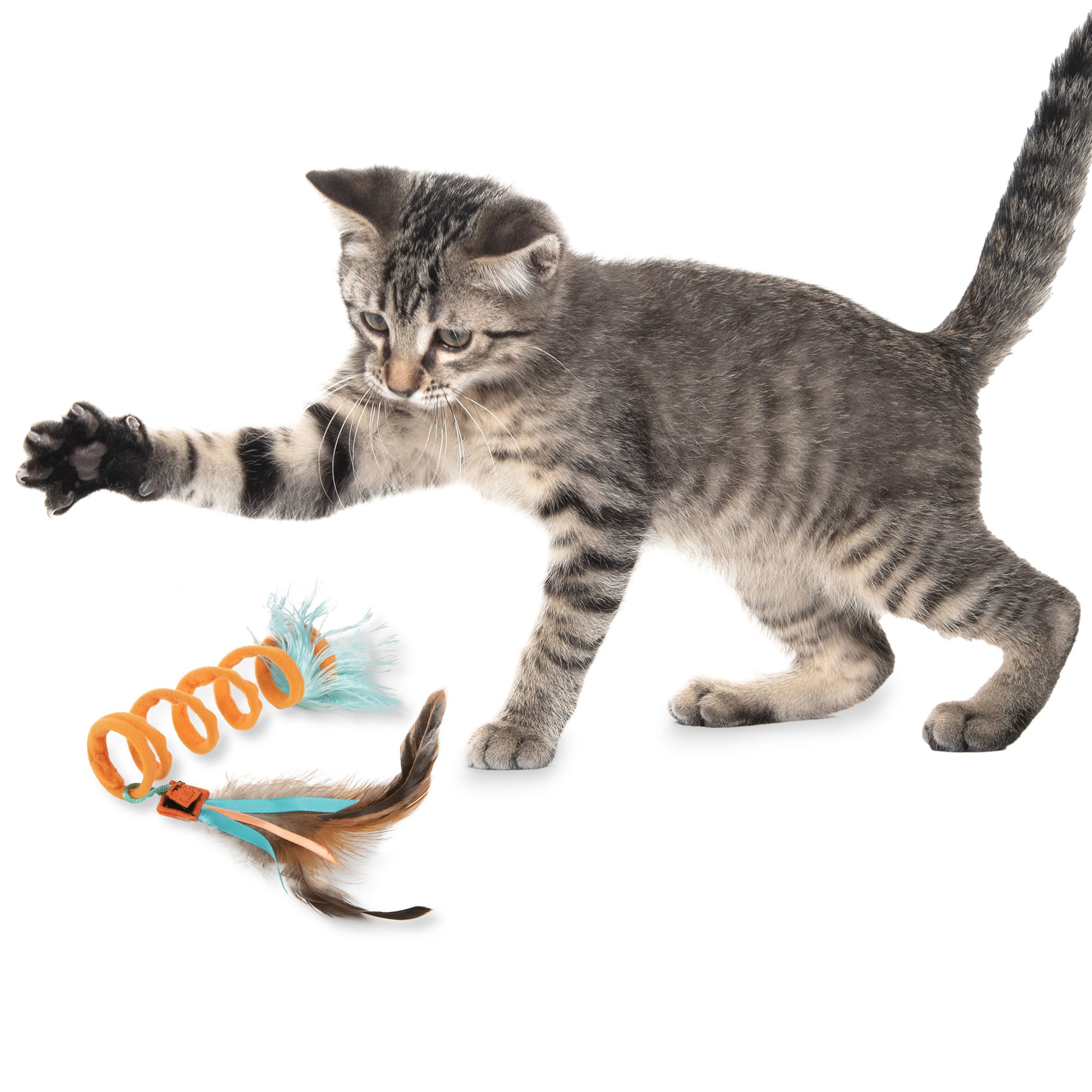 Petlinks Instincts Crazy Coil Cat Toy， Small