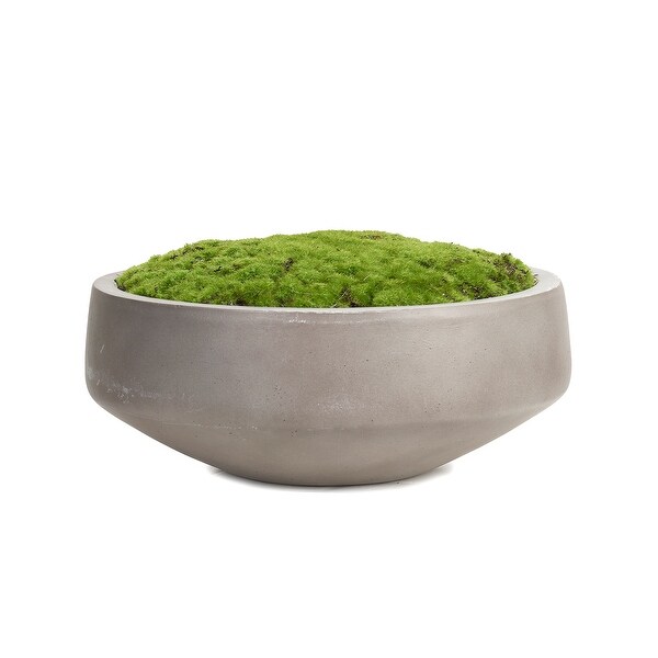 Moss Batting in Cement Dish