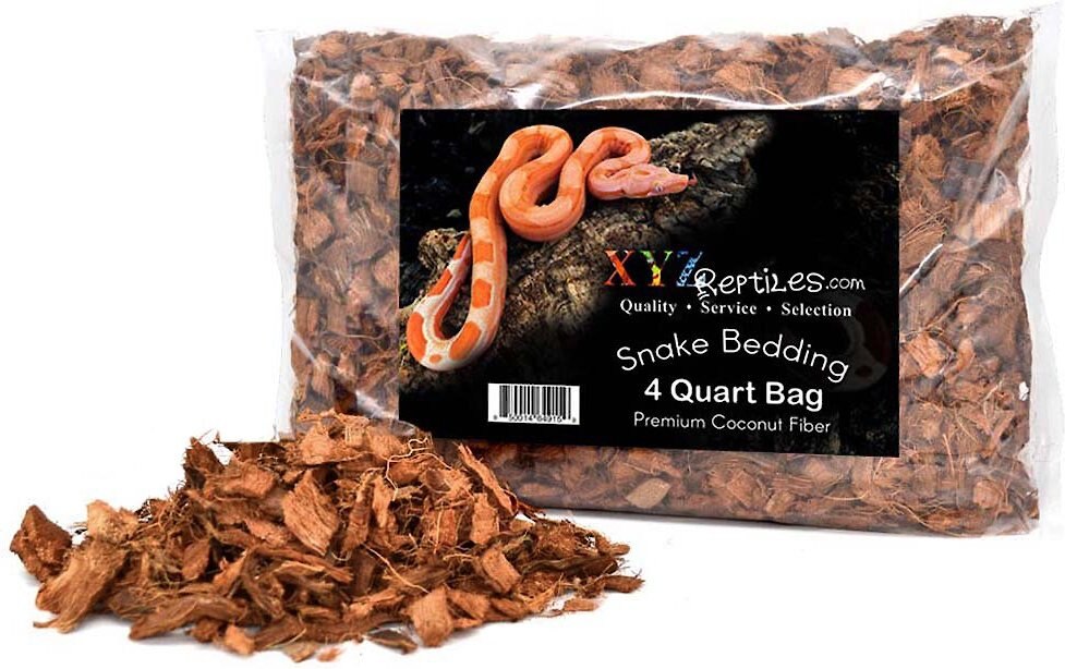 XYZReptiles Boa Constrictor Reptile Starter Kit