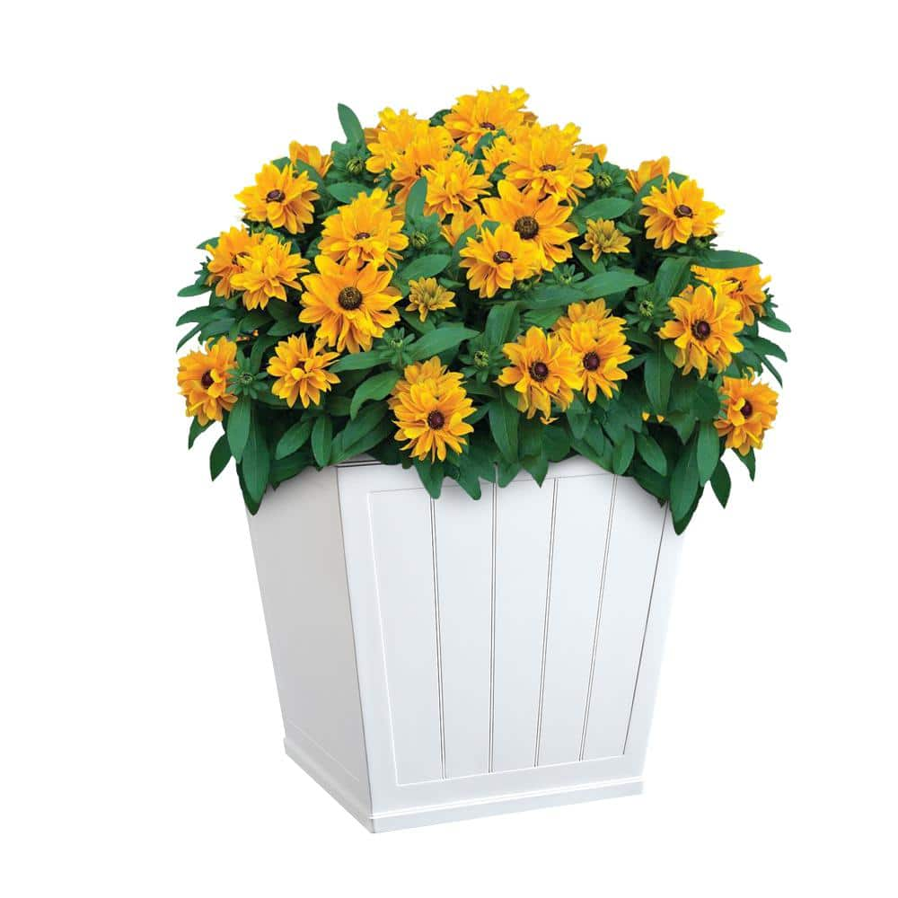 Vigoro 14.1 in. Eden Large White Resin Square Planter (14.1 in. L x 14.1 in. W x 14 in. H) HD1423D-089S