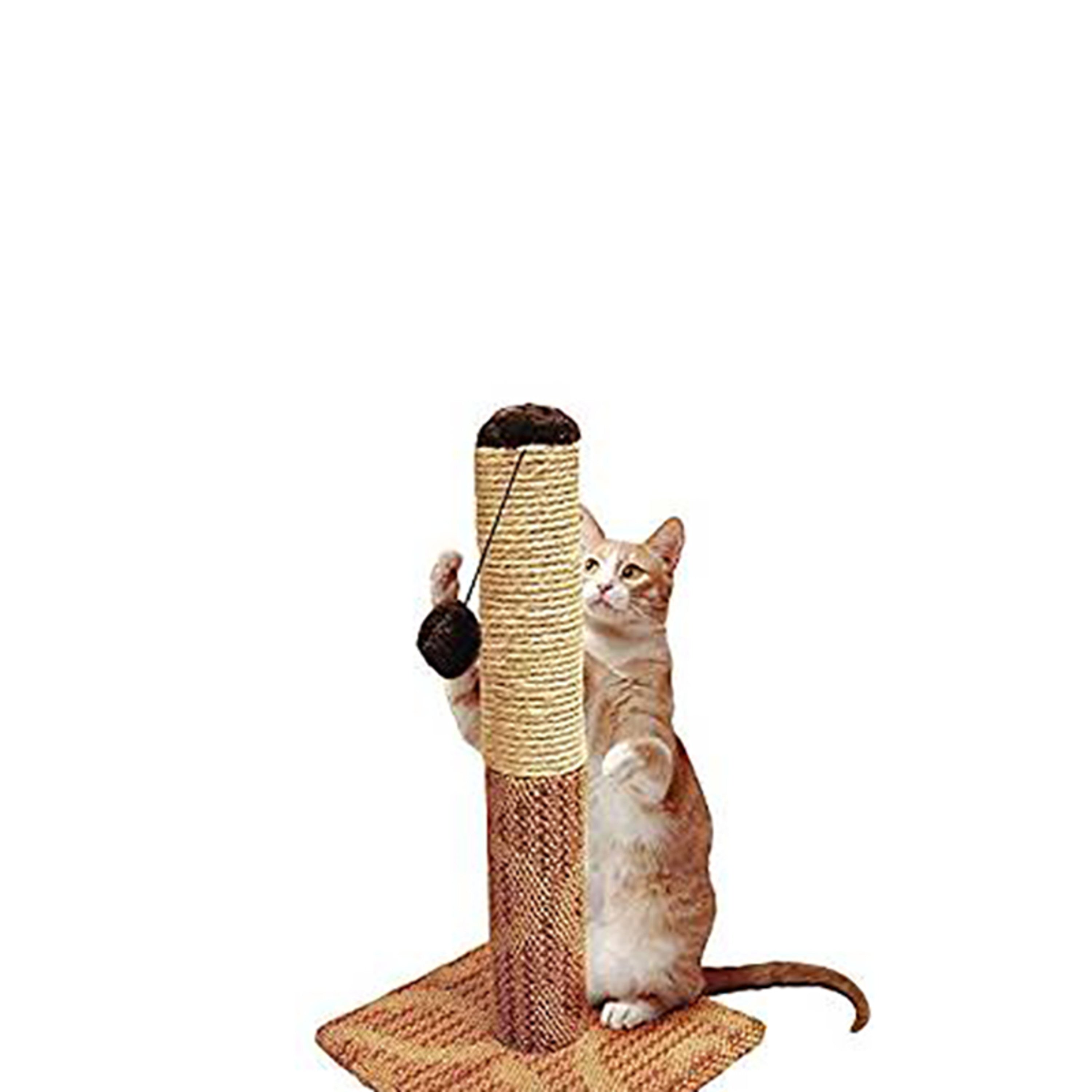 Four Paws Super Catnip Cat Scratching Post， Sisal and Carpet Scratching Post Brown 21 Inches Tall