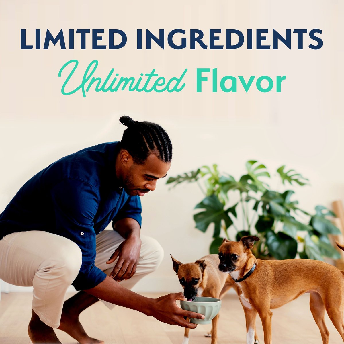 Natural Balance Limited Ingredient Grain-Free Chicken and Sweet Potato Small Breed Bites Recipe Dry Dog Food