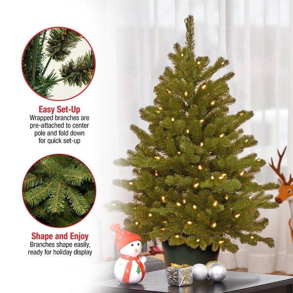 National Tree Company 3 ft. Hampton Spruce Green Holiday Tree with Clear LED Lights