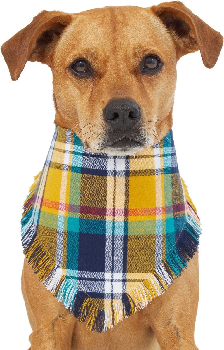 Frisco Blue/Yellow Plaid Dog and Cat Flannel Bandana