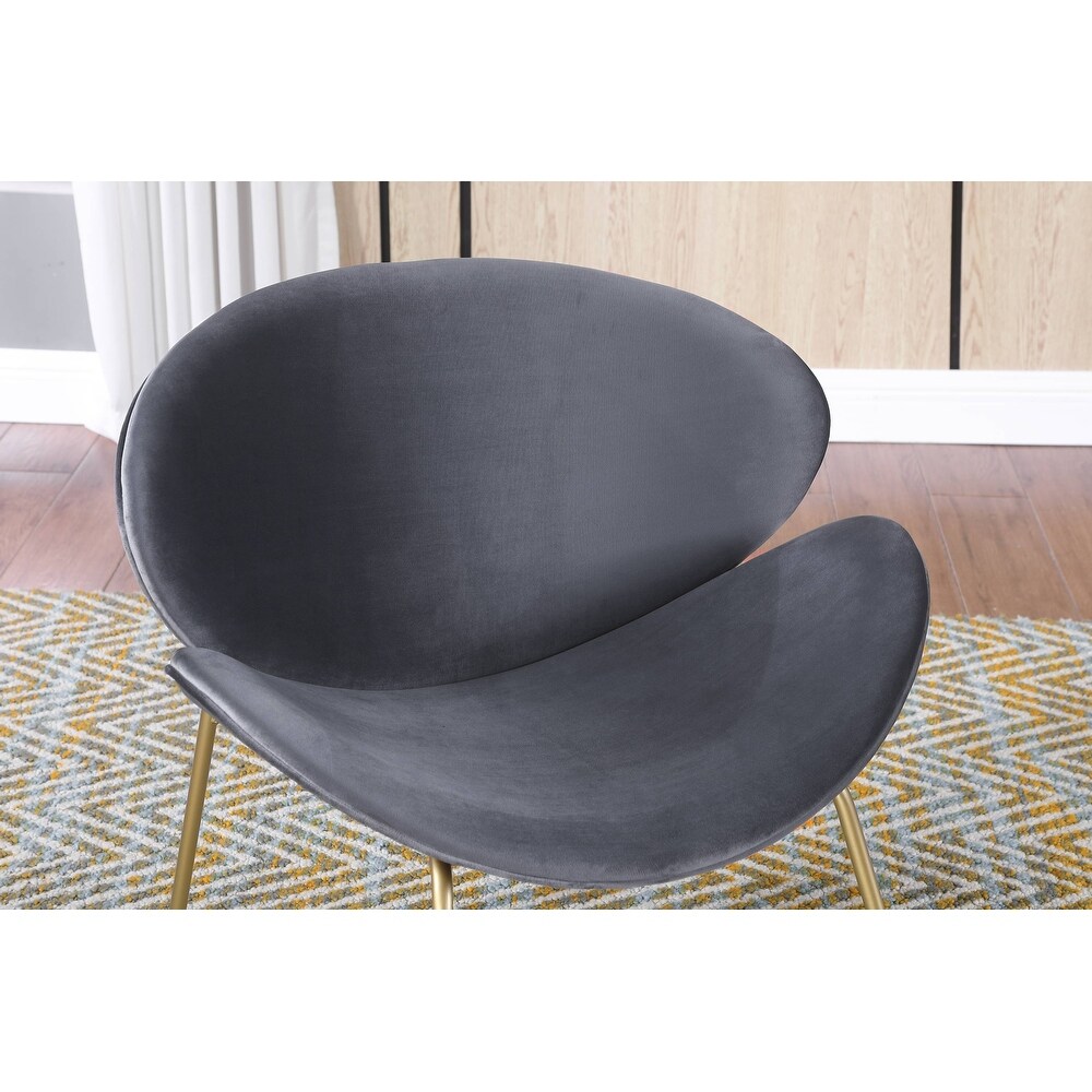 Velvet Dining Chairs  Modern Living Room Chairs  Set of 2