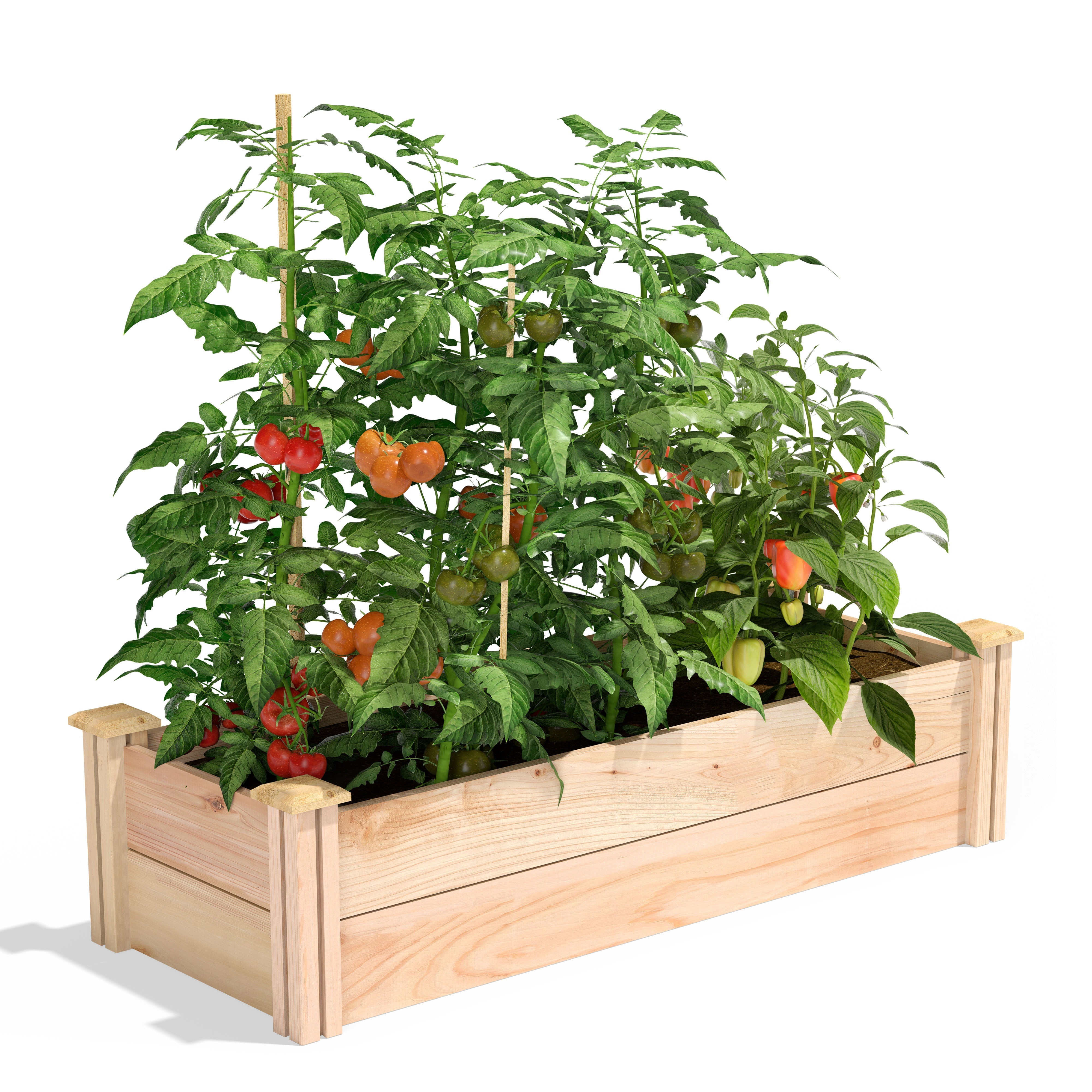 Greenes Fence 16" x 48" x 11" Premium Cedar Raised Garden Bed