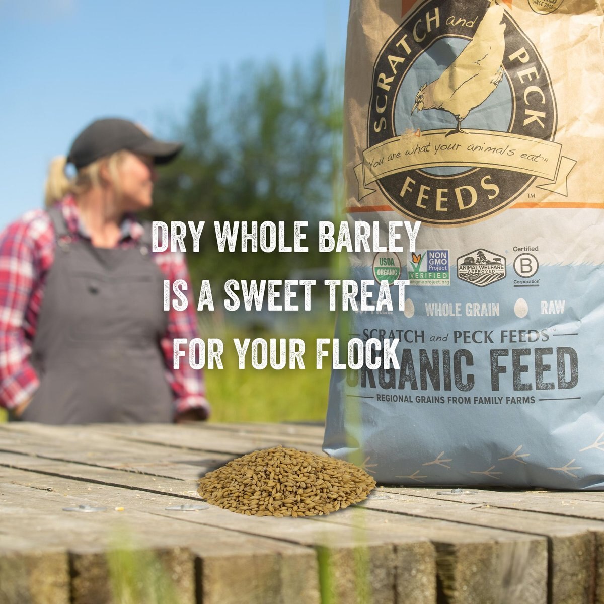 Scratch and Peck Feeds Organic Whole Barley Poultry Treats， 40-lb bag