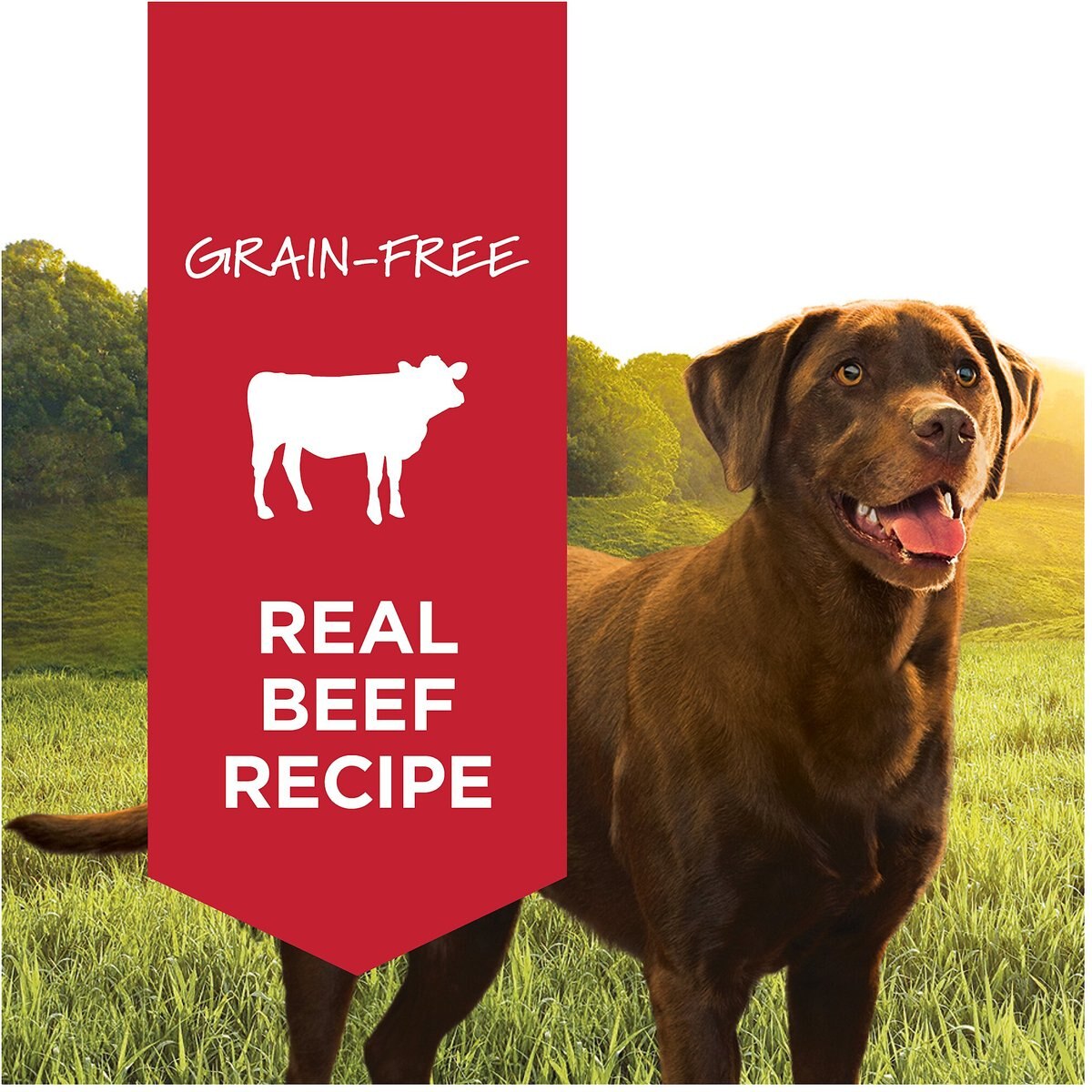 Instinct Original Grain-Free Real Beef Recipe Natural Wet Canned Dog Food