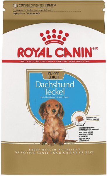 Royal Canin Breed Health Nutrition Dachshund Puppy Dry Dog Food