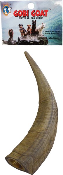 QT Dog Gobi Goat Horn Chew Dog Treat