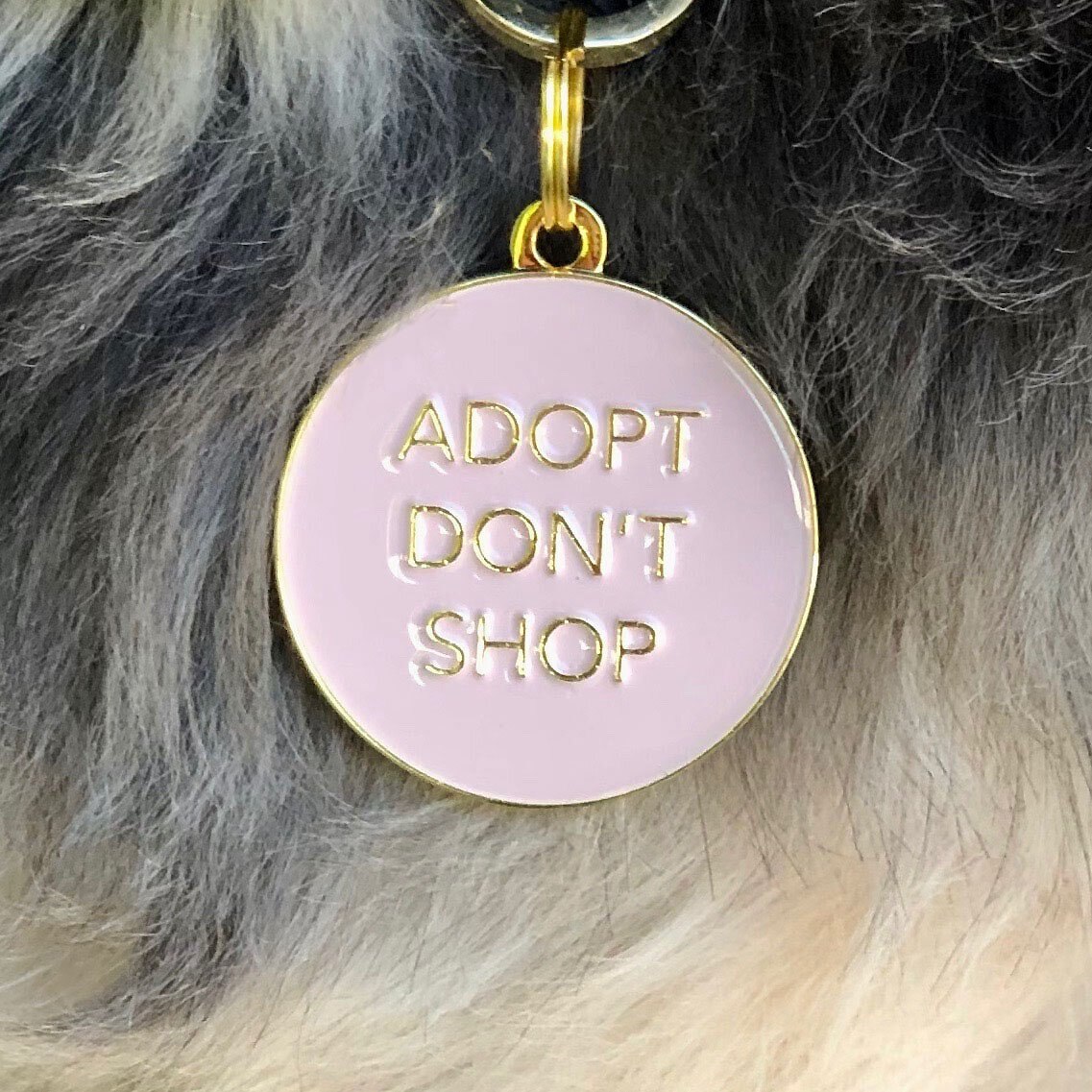 Two Tails Pet Company Adopt Don't Shop Personalized Dog and Cat ID Tag