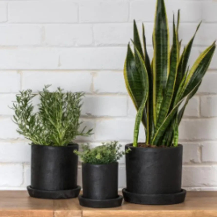 Terra Planter in Coal in Various Sizes by design by Dassie Artisan