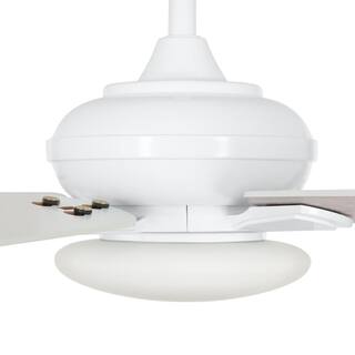 Home Decorators Collection Benson 44 in. LED White Ceiling Fan with Light and Remote Control YG654-WH