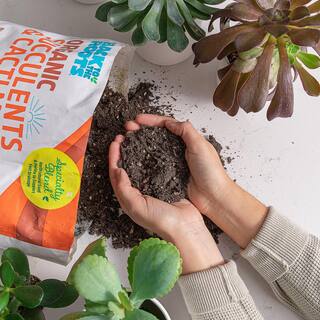 Back to the Roots 6-Quart Organic Succulent Mix Soil (8-pack) 47019