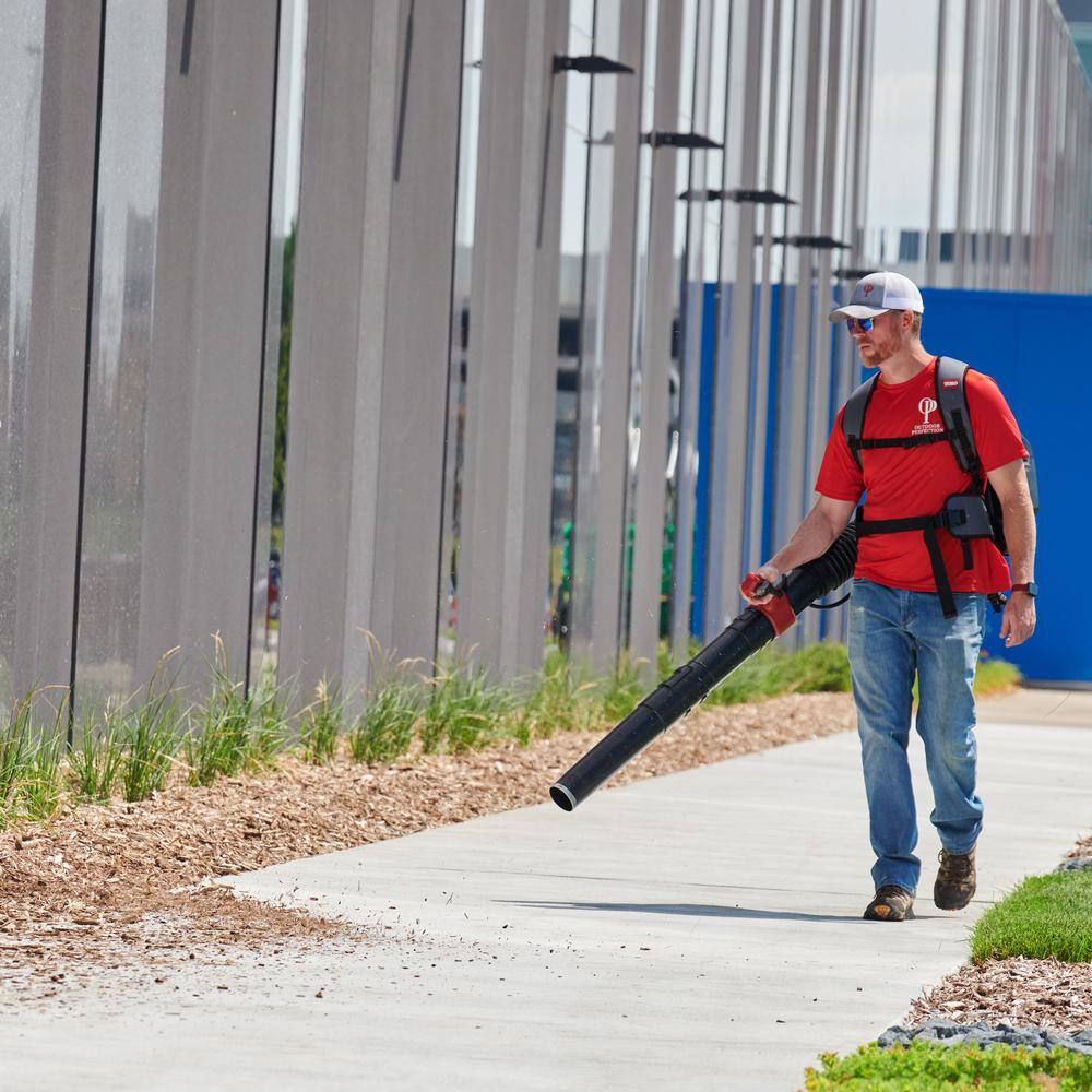 Toro Flex-Force 160 MPH 730 CFM 60V Max Lithium-Ion Cordless Revolution Backpack Leaf Blower - BatteryCharger Not Included 66100