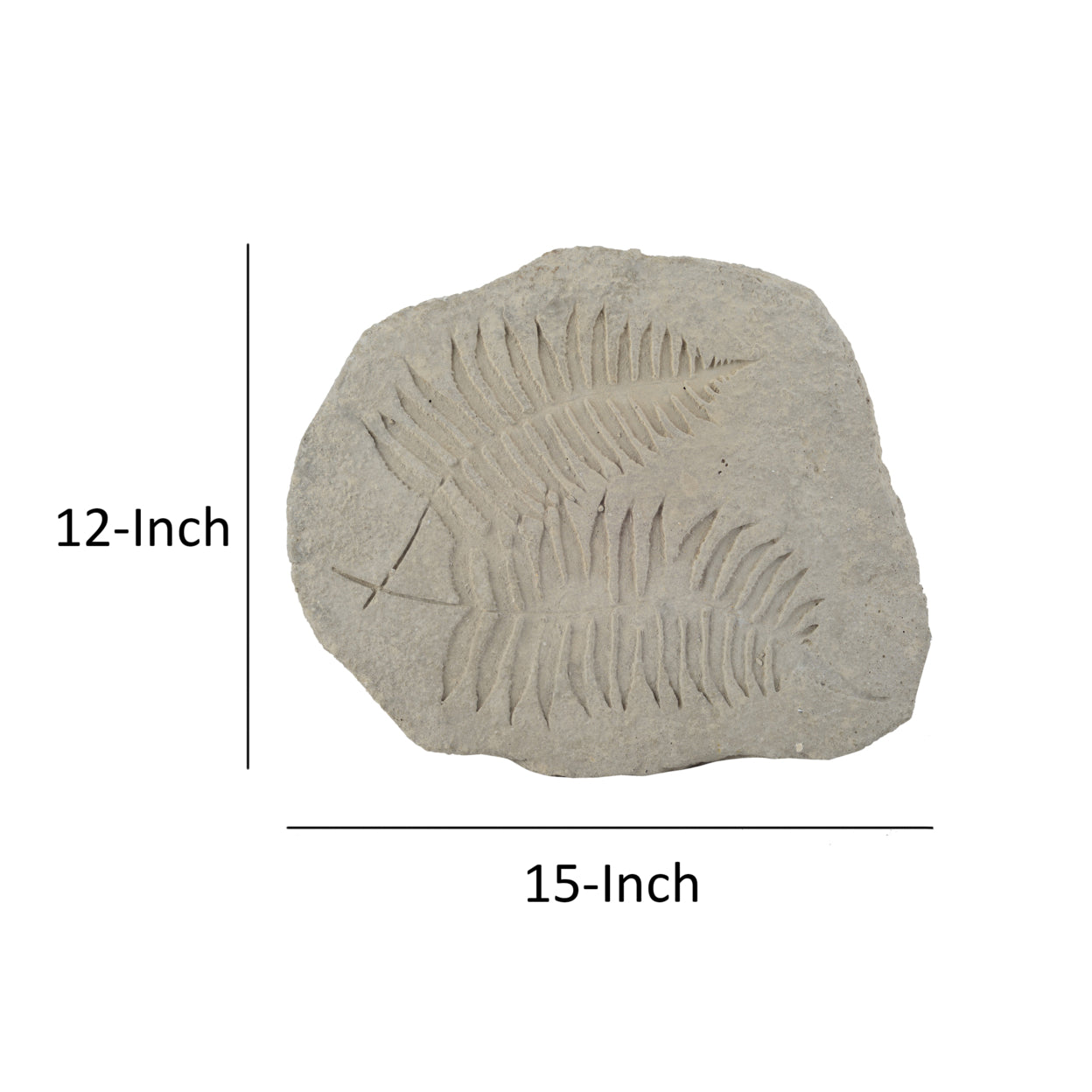 Concrete Fossil Accent Stone with Fern Leaves Imprint, Gray- Saltoro Sherpi