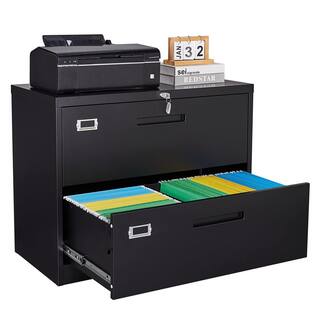 Zeus  Ruta Black File Cabinet 2-Drawer with Lock Locking Metal Lateral Filing Cabinet for Home Office ZeusOffice111BK