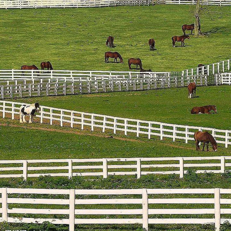 Factory Directly Supply Long Longevity Vinyl PVC Fencing Panels Horse Fence