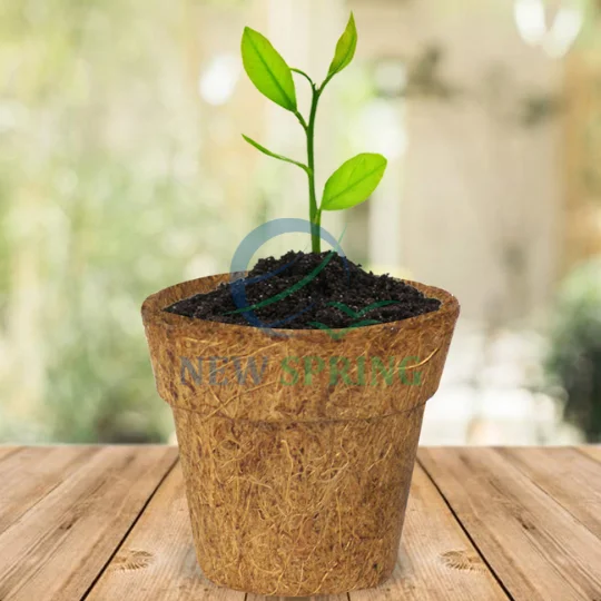 Best Price Manufacturers direct Natural coconut fiber pots coir pot home decoration balcony garden