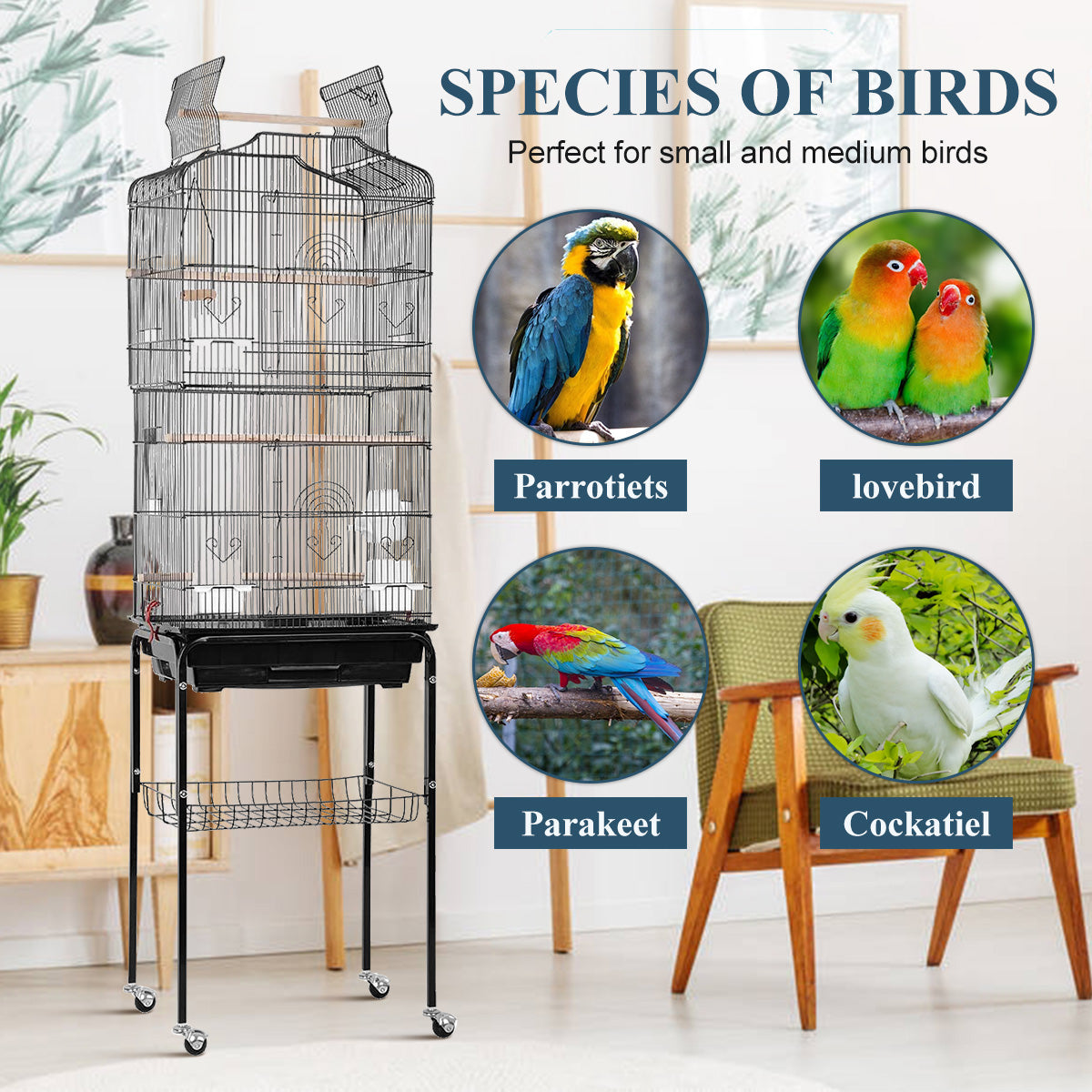 Dkeli Bird Cage with Stand Parrot Cages for Large Birds Parakeet Cage with Play Top and Rolling Stand for Medium Canaries， Lovebirds， Cockatiels， Parrots