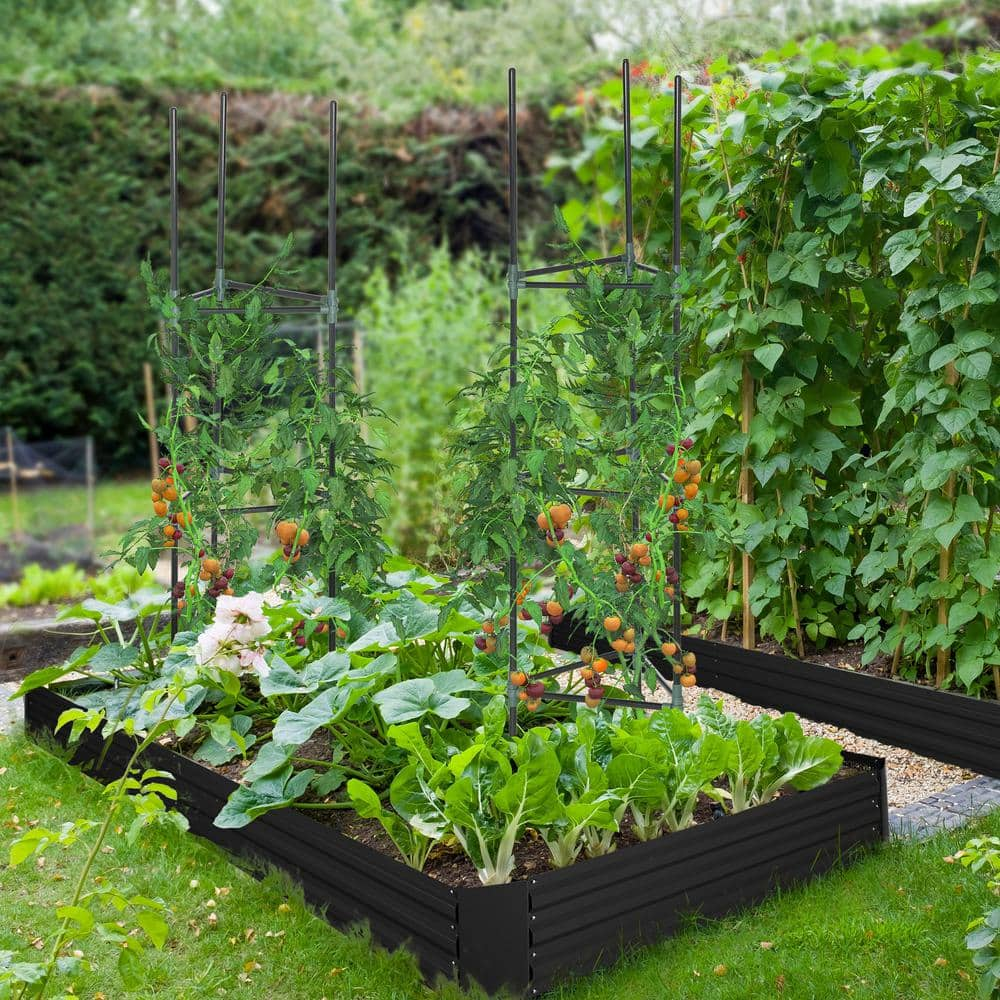 Outsunny 5.9 ft. x 3 ft. x 1 ft. Black Raised Garden Bed with 2 Customizable Trellis Tomato Cages 845-782V00BK