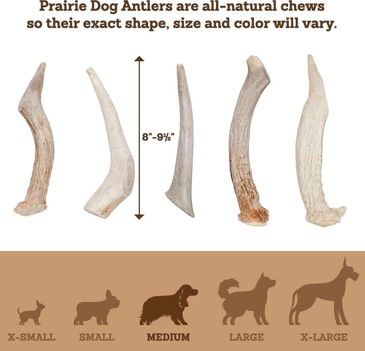 Prairie Dog Whole Deer Antler Dog Chews， 8 - 9.5 in