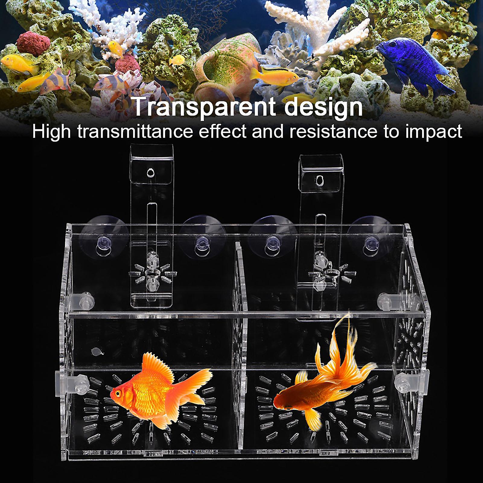 Acrylic Transparent Fish Tank Breeding Isolation Box Aquarium Hatchery Incubator Holder(b)