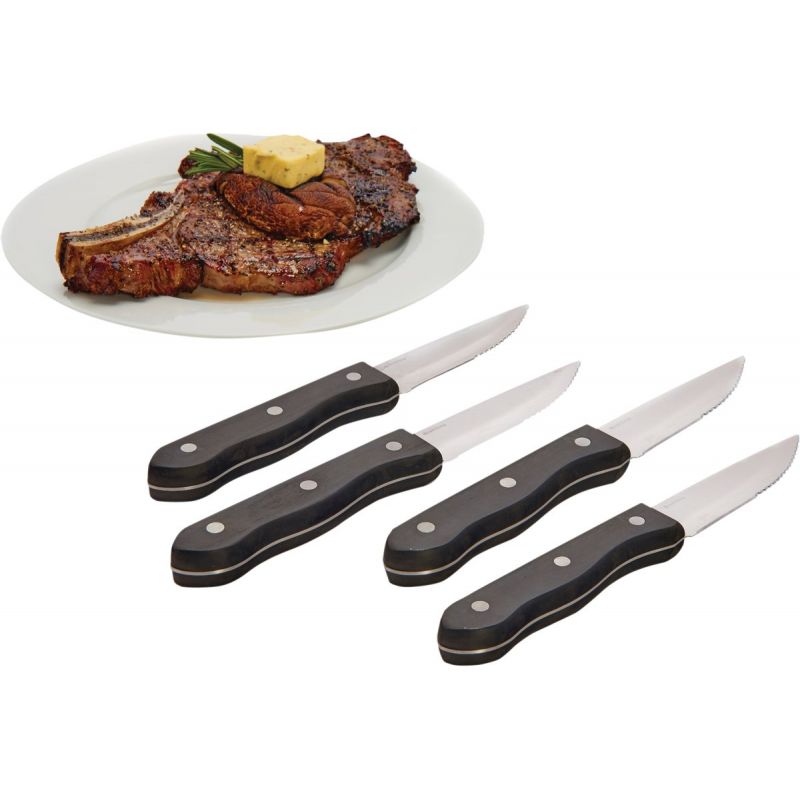 Broil King Stainless Steel Steak Knife Set