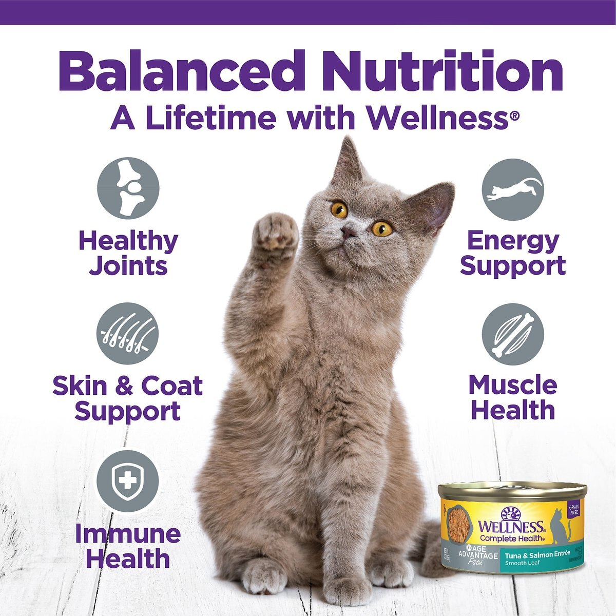 Wellness Complete Health Age Advantage Tuna and Salmon Pate Wet Cat Food， 3-oz， 24 count