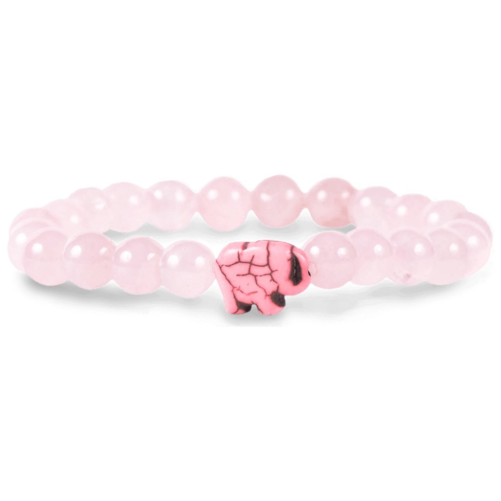 Fahlo  The Expedition Bracelet in Kenya Orchid Pink-Tracking Bracelet