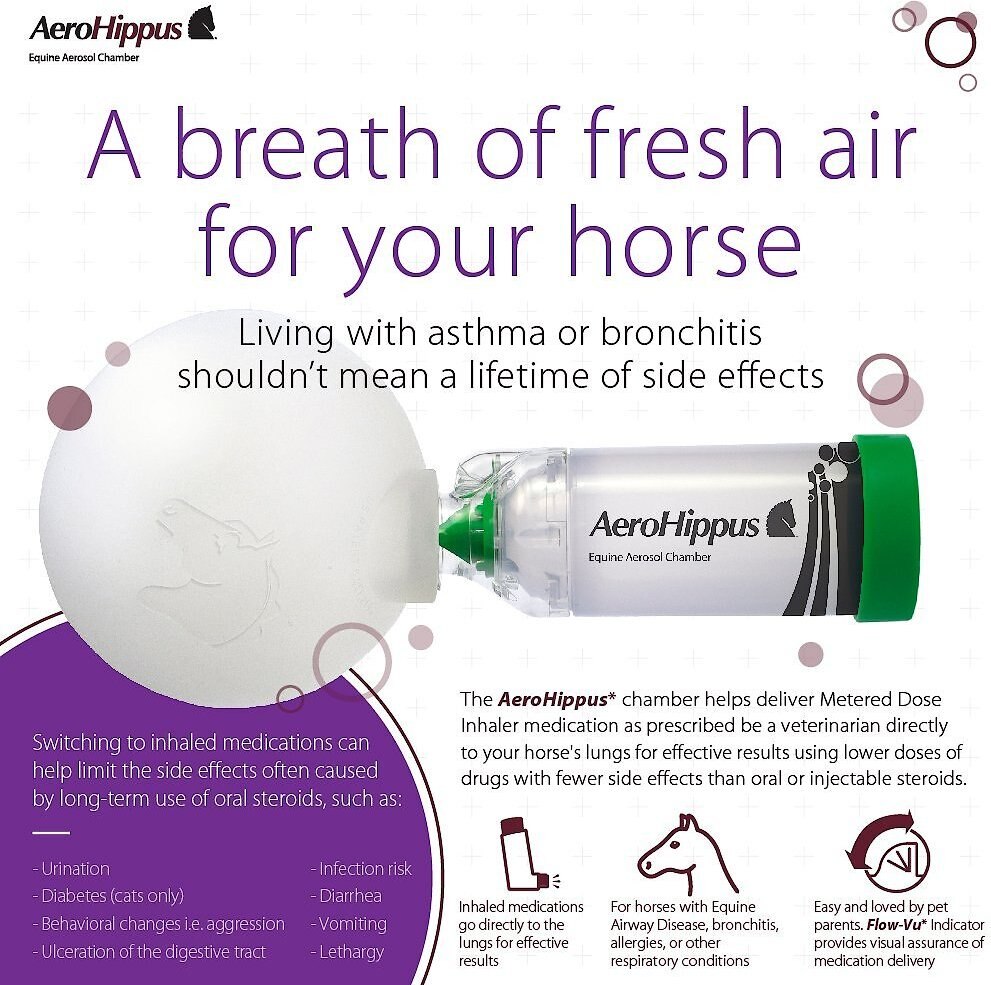 Trudell Medical International AeroHippus Equine Aerosol Chamber