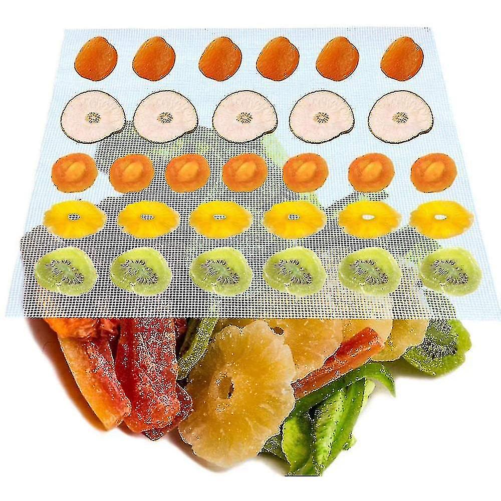 10pcs Non Stick Silicone Dehydrator Sheets， For Fruit Dryer Dumpling_l