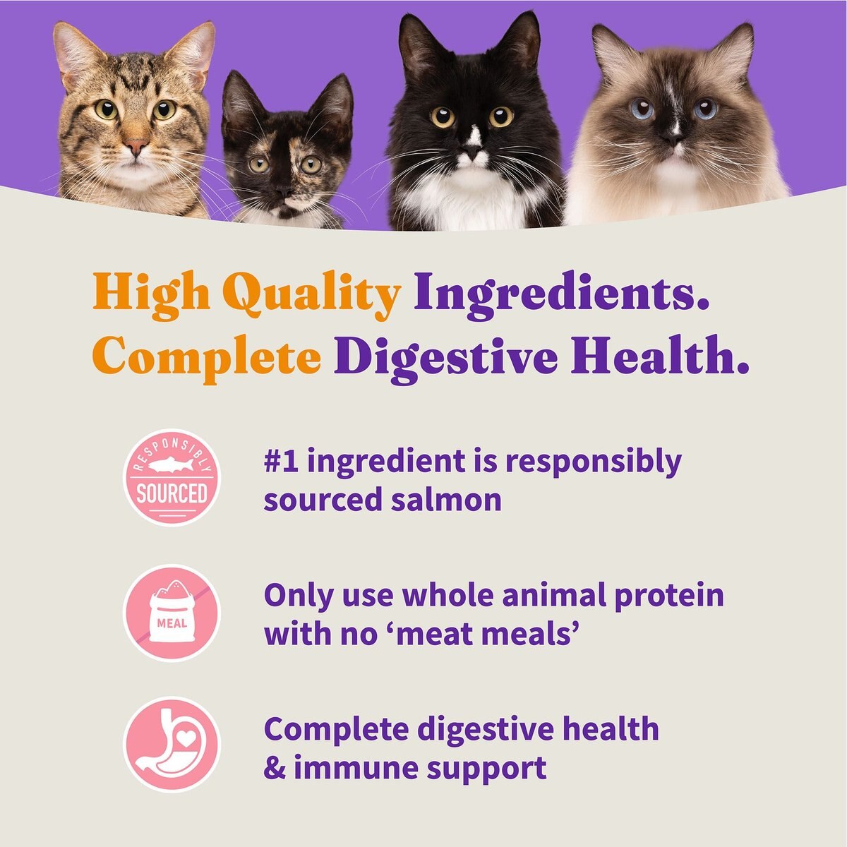 Halo Holistic Indoor Wild-Caught Salmon and Whitefish Recipe Complete Digestive Health and Healthy Weight Support Grain-Free Adult Dry Cat Food