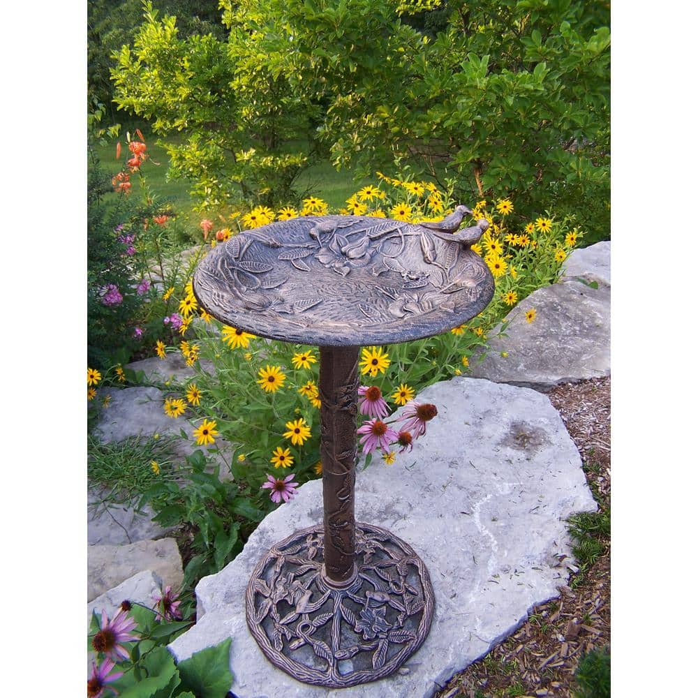 Hummingbird Bird Bath HD5131-AB