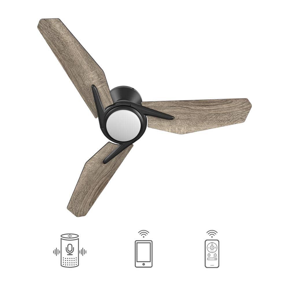 CARRO Tilbury 44 in Integrated LED IndoorOutdoor Black Smart Ceiling Fan with Light and Remote Works with AlexaGoogle Home