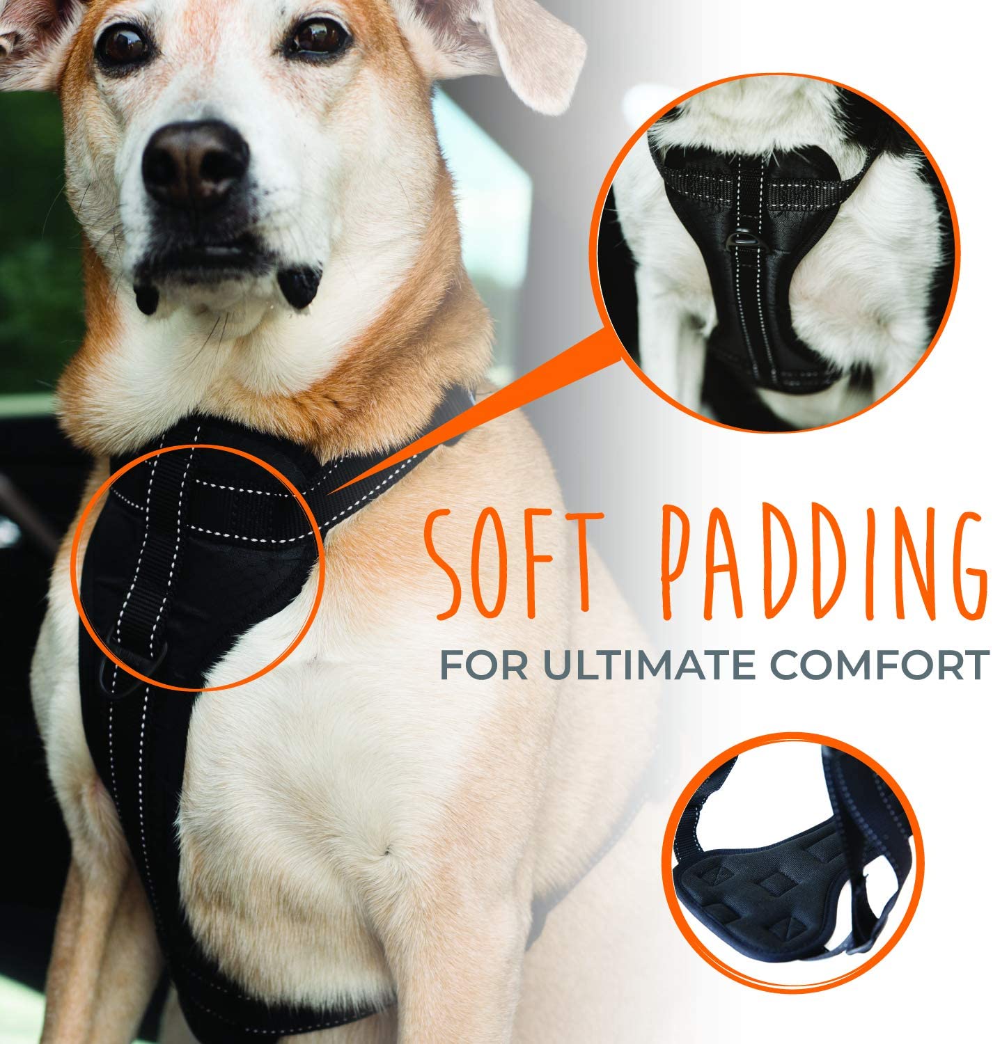 Mighty Paw Car Dog Harness， Vehicle Safety Harness with Adjustable Straps and Soft Padding， Doubles as a Standard Harness with a No Pull Front Leash Attachment