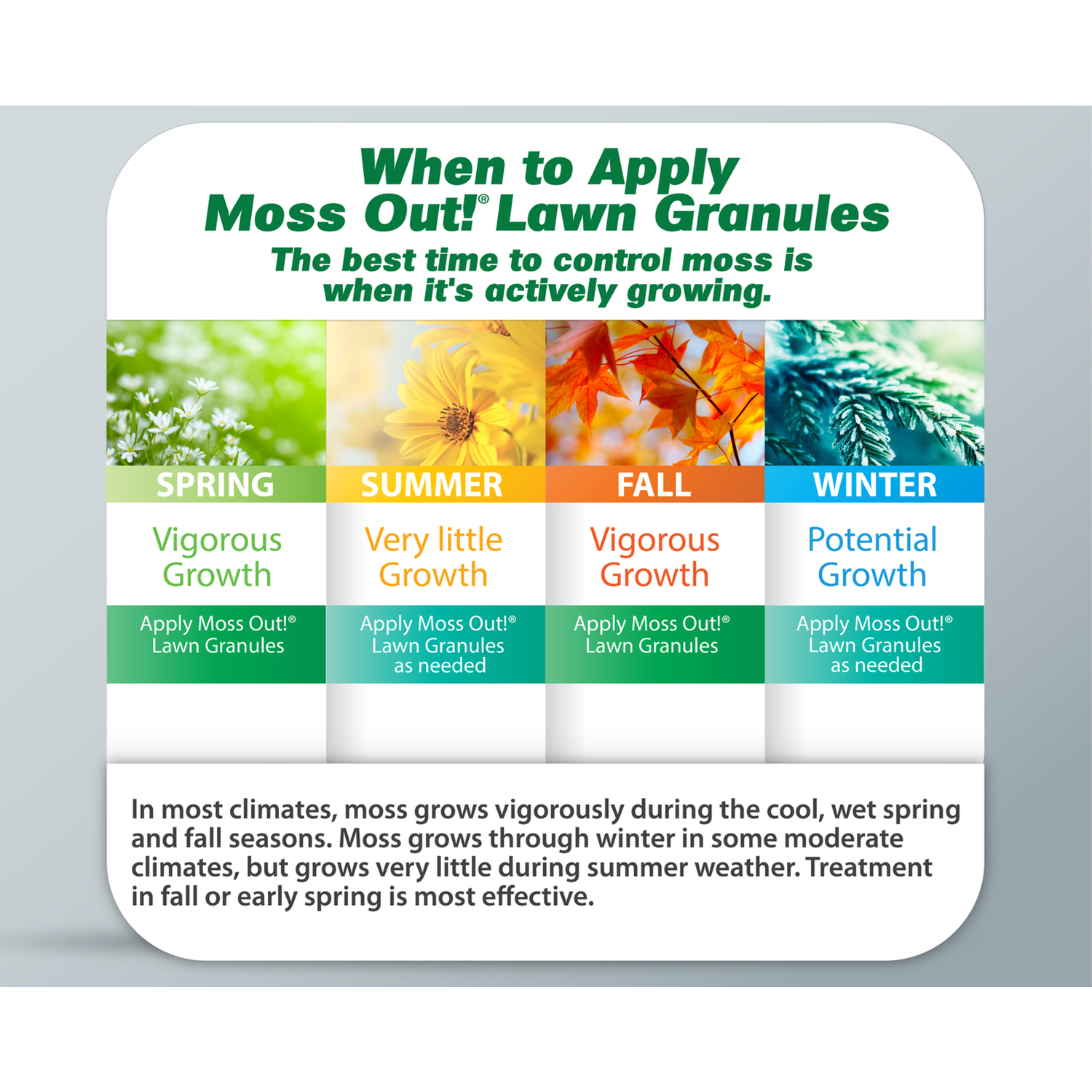 Lilly Miller Moss Out Moss Control Granules 20 lb