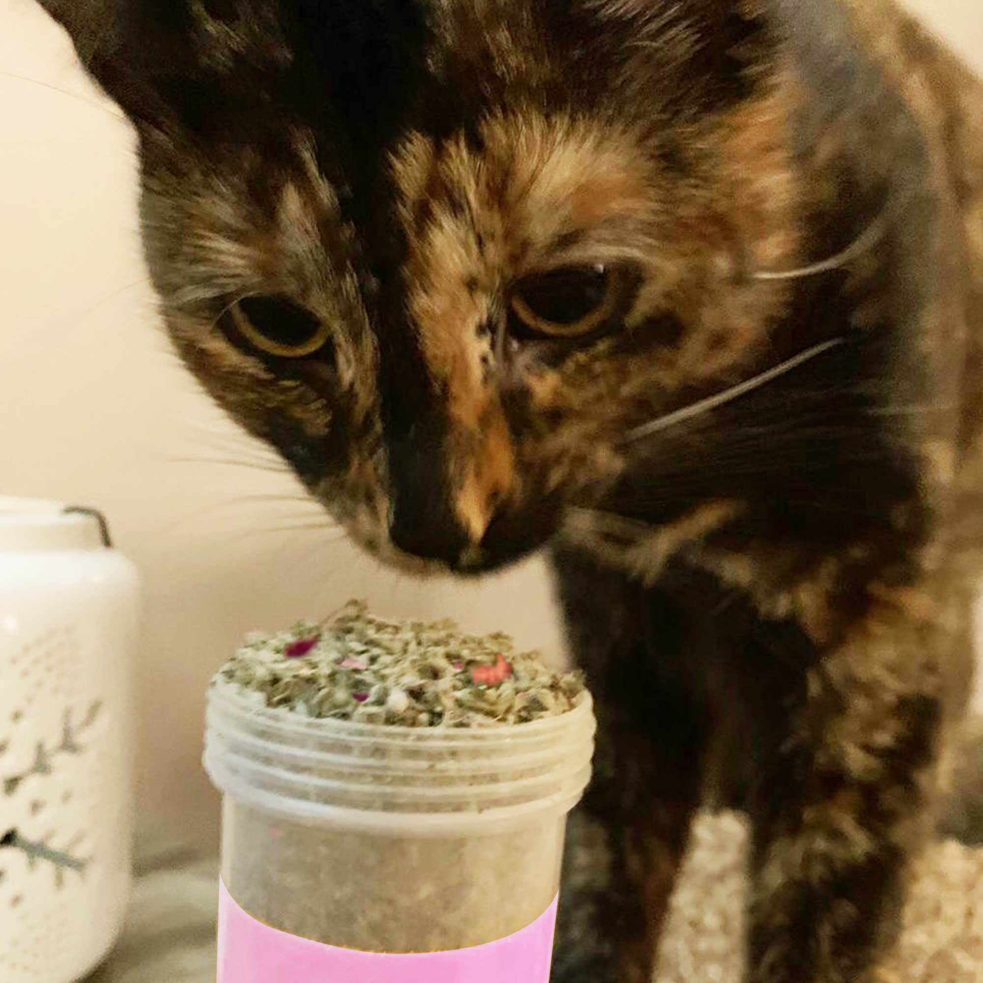 Meowijuana Winter Lift Catnip Canister， Medium