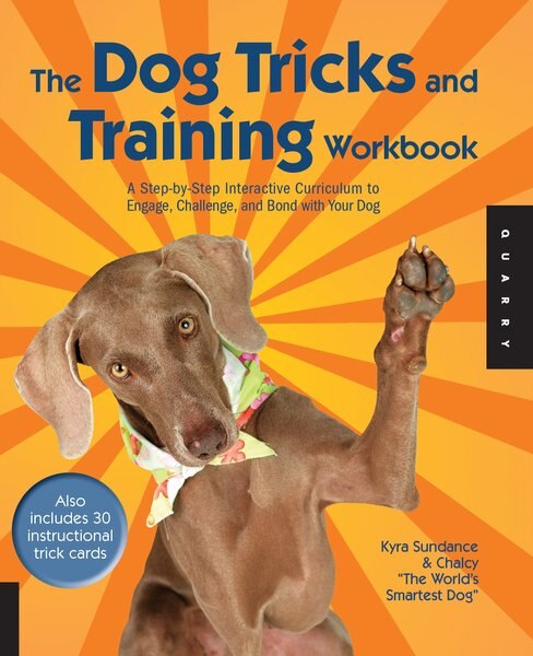 The Dog Tricks and Training Workbook: A Step-by-Step Interactive Curriculum to Engage， Challenge， and Bond with Your Dog