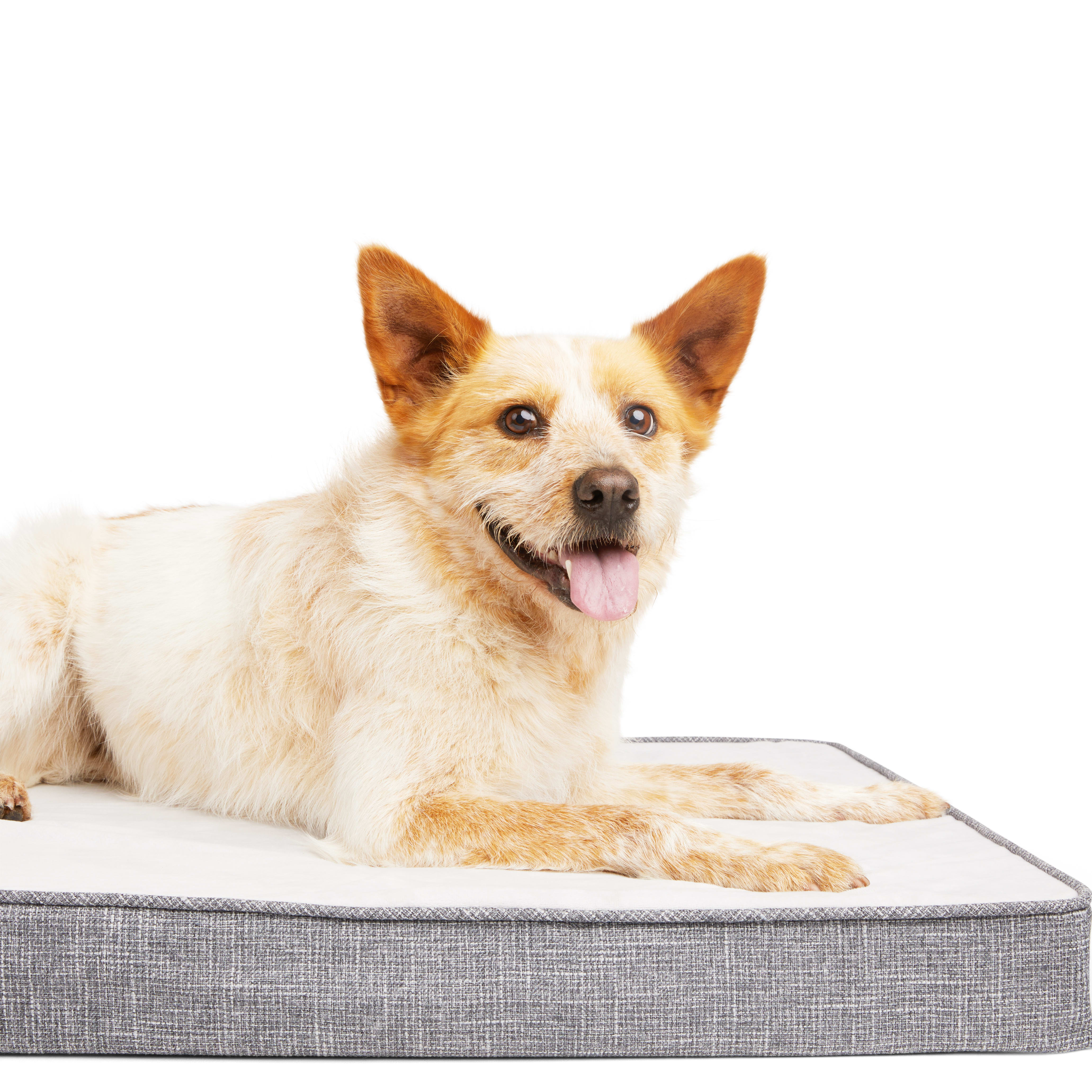 EveryYay Essentials Cooling Orthopedic Dog Bed， 36