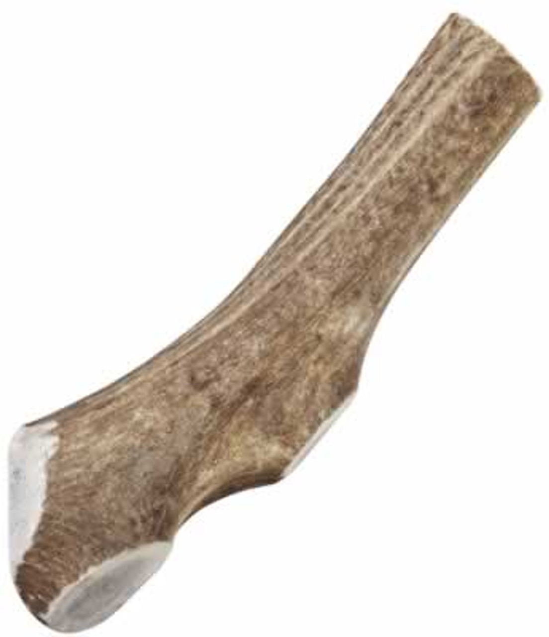 Happy Dog of Cape Cod Sliced Elk Antler， X-Large