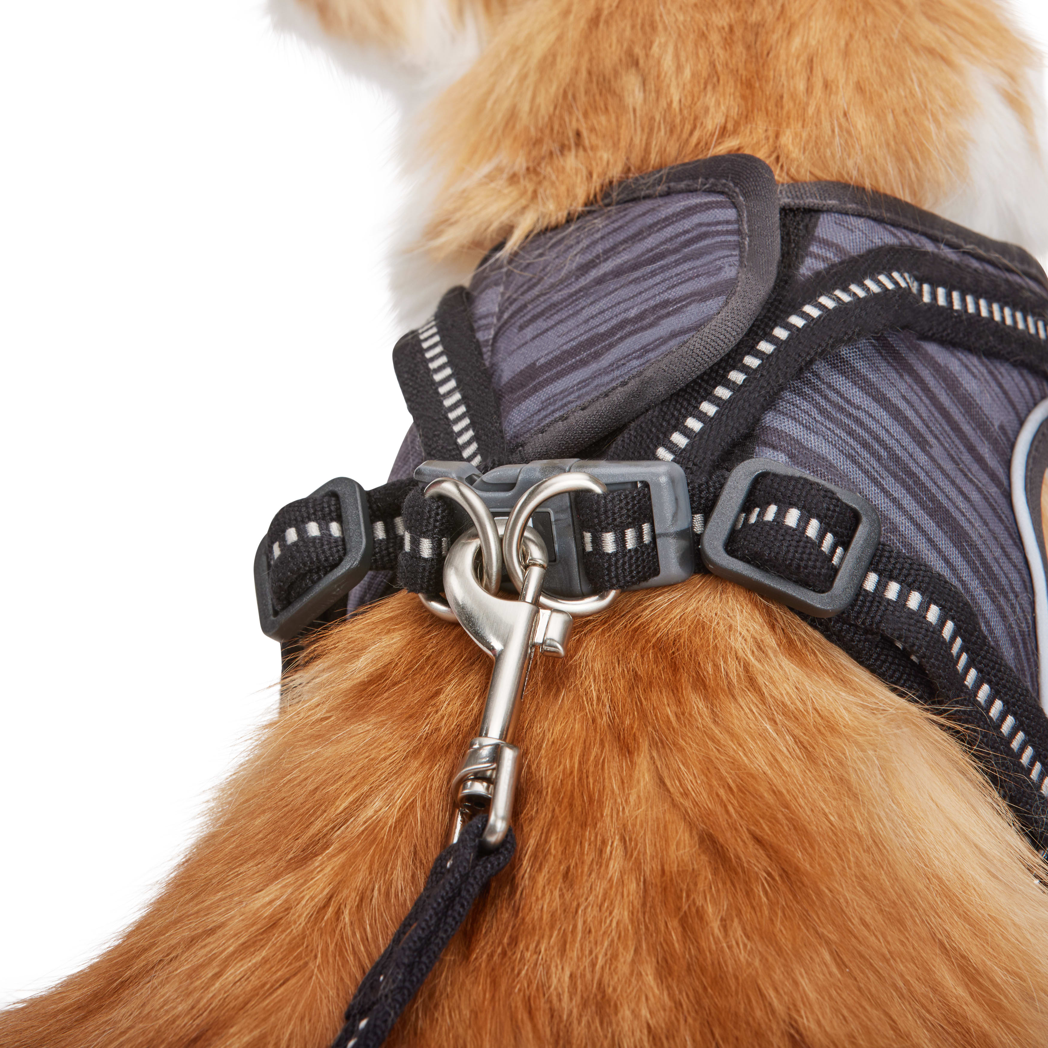 Reddy Grey Cat Harness Set， Small/Medium