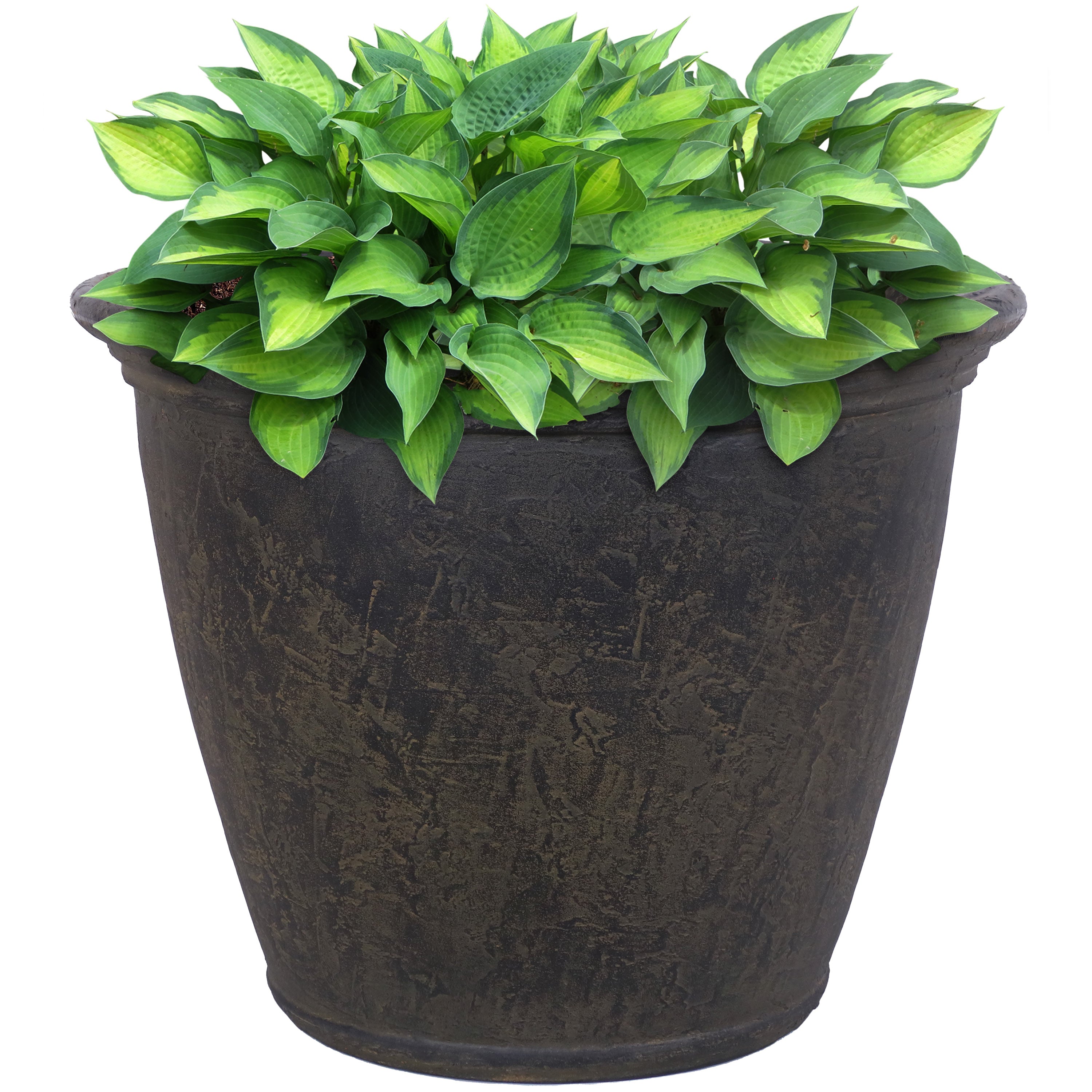 Sunnydaze Anjelica Polyresin Indoor/Outdoor Unbreakable Double-Walled UV-Resistant Flower Pot Planter - 24